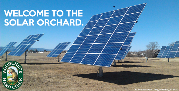 Solar Panels Orchard