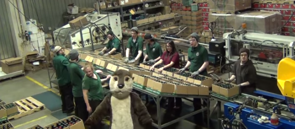 Woodchuck Harlem Shake