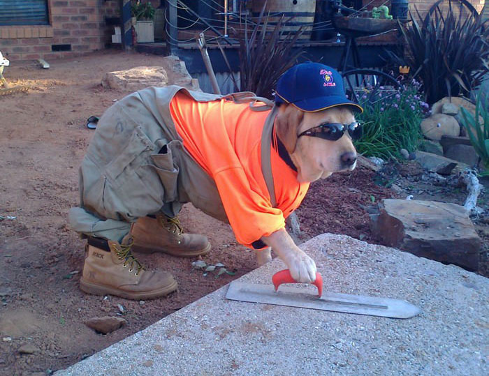 dog-worker-costume-2